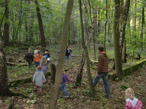 Kinder und Erzieher im Wald