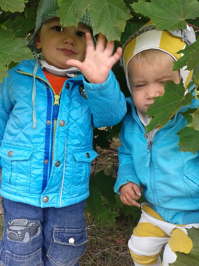 Impressionen aus der Krippe