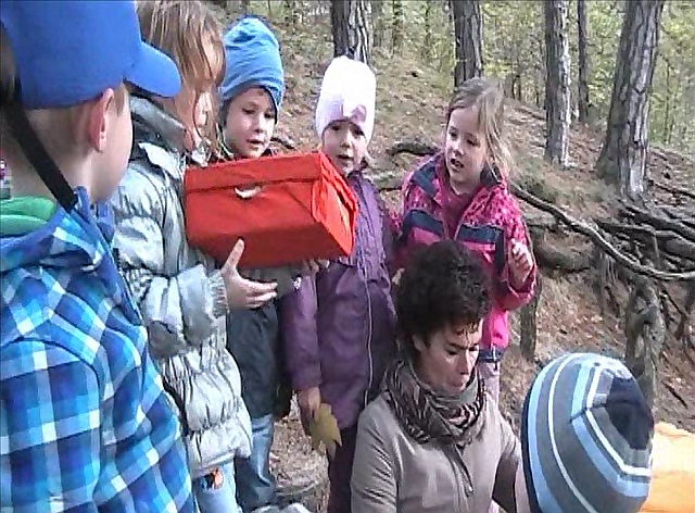 Waldprojekt
