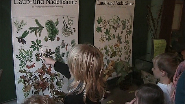 Waldprojekt