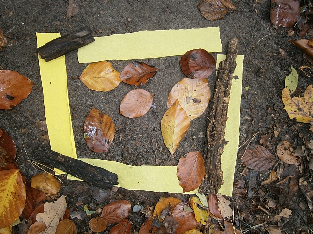 Waldprojekt