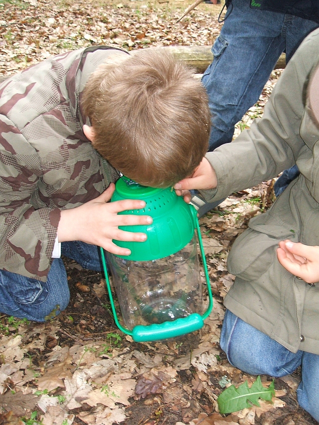 Naturwissenschaftliche Grunderfahrungen