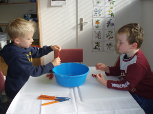 2 Jungen bereiten Essen zu