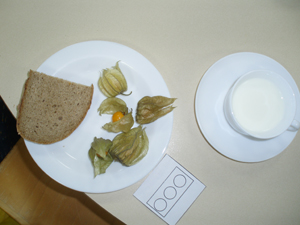 Brot und Physalis auf Teller, Quark, Malvorlage Ampel