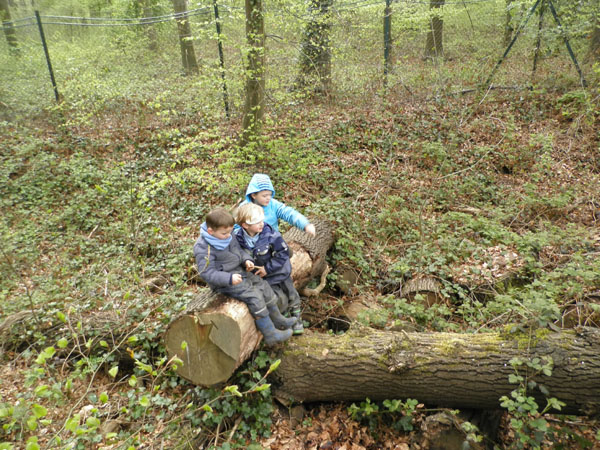 3 Kinder sitzen auf einem Baumstamm.