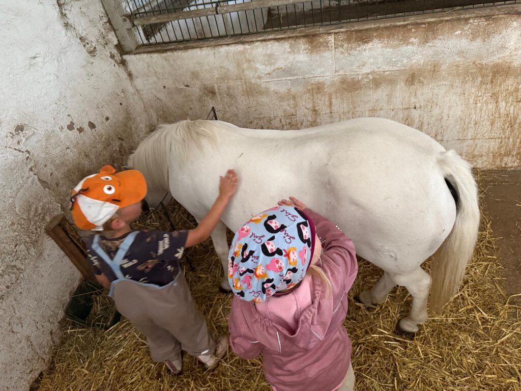 Besuch auf dem Pferdehof